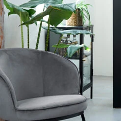 Glazen Kastje 11 Glazen Kastje -WOOOD Verkoopwinkel glazen kastje bodio rise 05