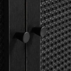 Zwarte Wandkast Met Rotan -WOOOD Verkoopwinkel zwarte wandkast met rotan bodio pose 06